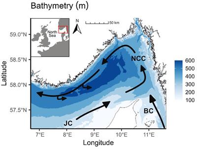Modelling mass accumulation rates and 210Pb rain rates in the Skagerrak: lateral sediment transport dominates the sediment input